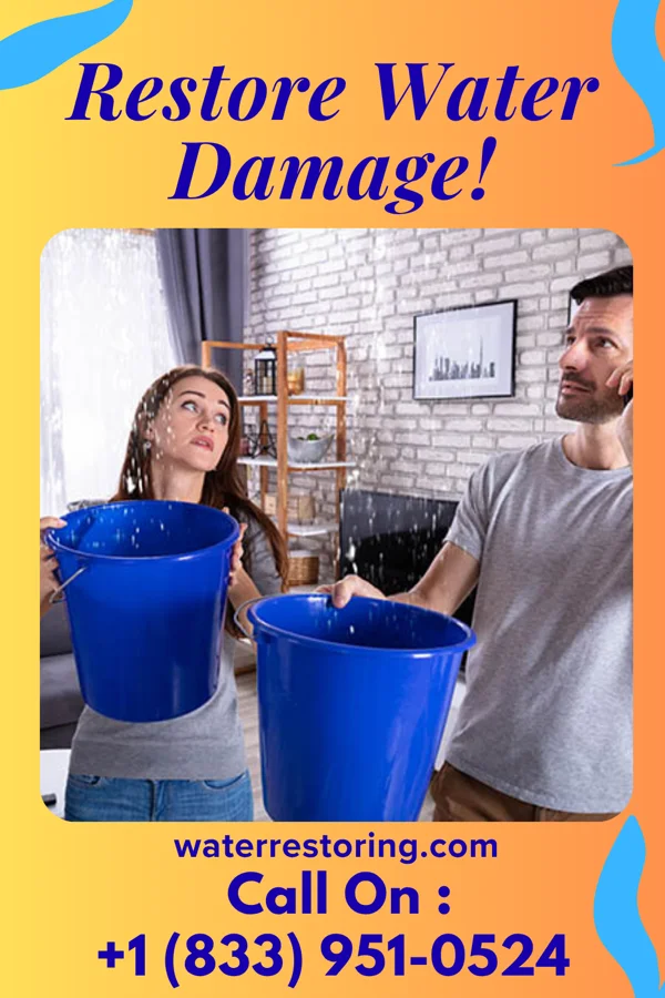 water restoration Galaxy Water Cleanup Group New Chicago