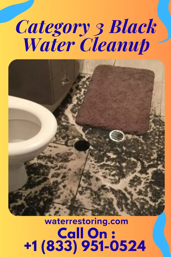 Category 3 Black Water Cleanup in New Chicago, IN