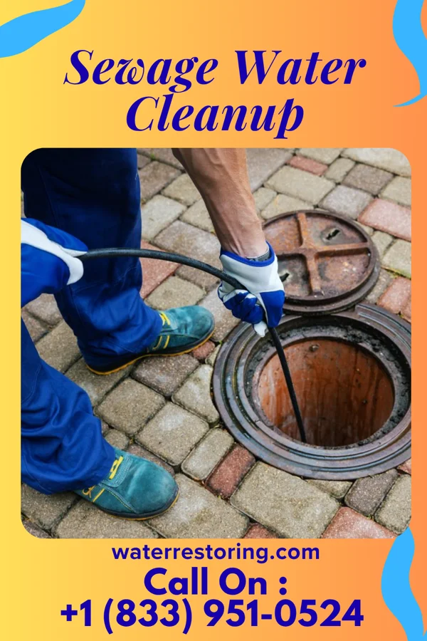 Sewage Water Cleanup in New Chicago, IN